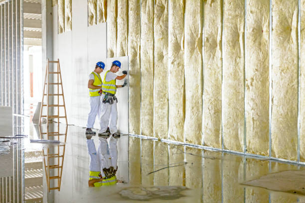 Best Types of Insulation in Pocola, OK